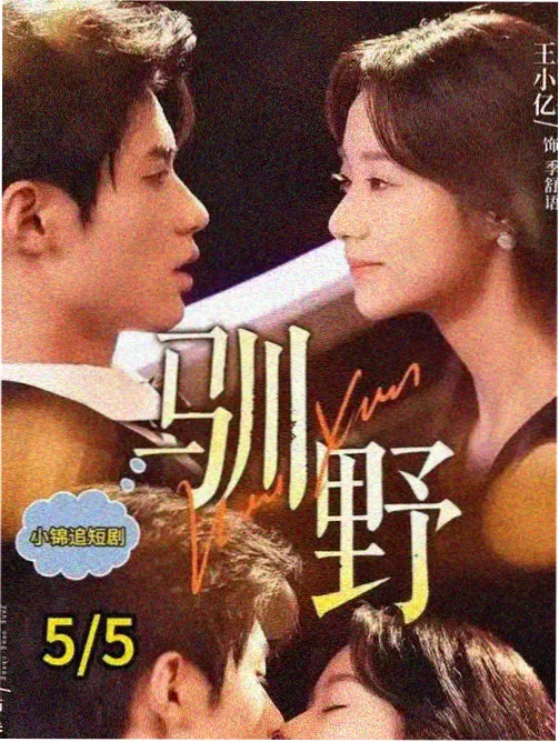 现代格斗条目叁的占位封面图